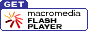 FlashPlayerFLASHɂ